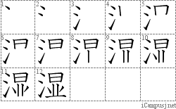 湿: Stroke Order Diagram