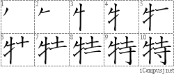 Stroke Order Diagram