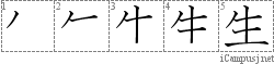 Stroke Order Diagram