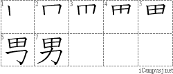 男: Stroke Order Diagram