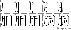 胴: Stroke Order Diagram