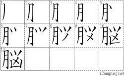 脳: Stroke Order Diagram