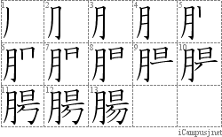 腸: Stroke Order Diagram