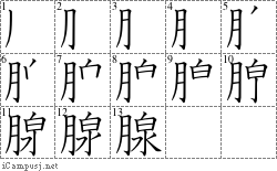 腺: Stroke Order Diagram